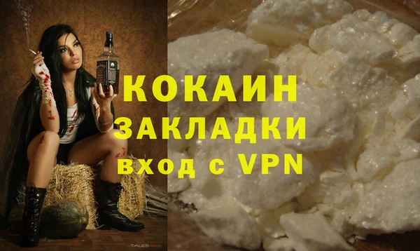 шишки Богданович